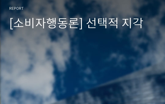 [소비자행동론] 선택적 지각