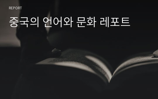 중국의 언어와 문화 레포트