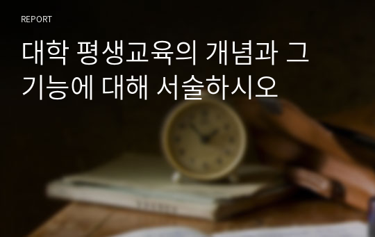 대학 평생교육의 개념과 그 기능에 대해 서술하시오