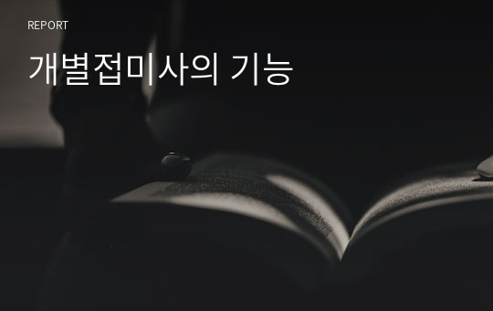 개별접미사의 기능