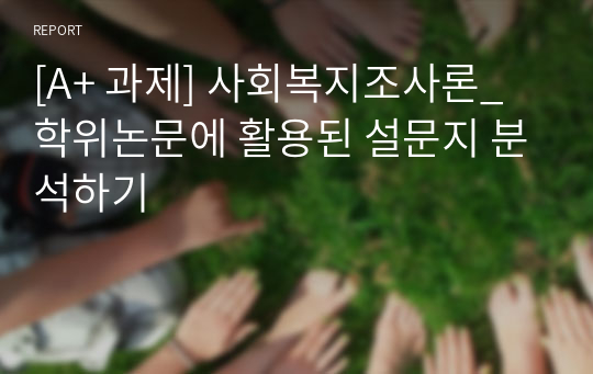 [A+ 과제] 사회복지조사론_학위논문에 활용된 설문지 분석하기