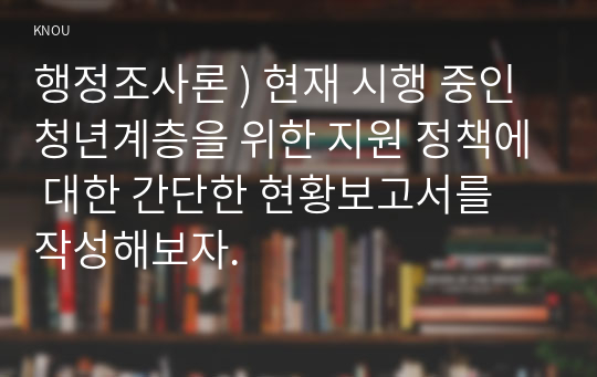 행정조사론 ) 현재 시행 중인 청년계층을 위한 지원 정책에 대한 간단한 현황보고서를 작성해보자.