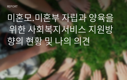 미혼모.미혼부 자립과 양육을 위한 사회복지서비스 지원방향의 현황 및 나의 의견