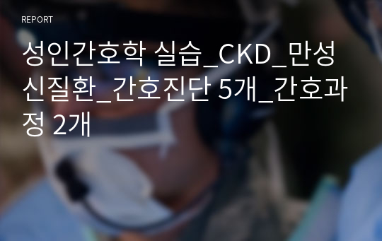 성인간호학 실습_CKD_만성신질환_간호진단 5개_간호과정 2개