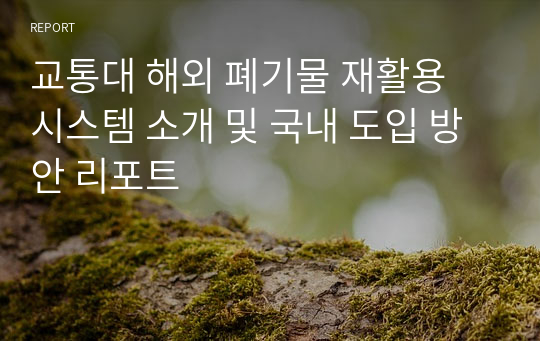 교통대 해외 폐기물 재활용 시스템 소개 및 국내 도입 방안 리포트