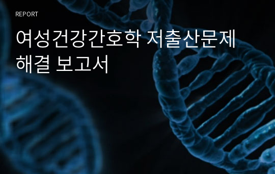 여성건강간호학 저출산문제해결 보고서