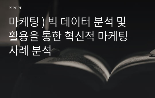 마케팅 ) 빅 데이터 분석 및 활용을 통한 혁신적 마케팅 사례 분석