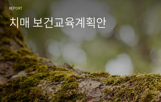 치매 보건교육계획안 A+ 교수님께 칭찬 받은 자료입니다.