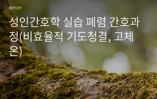 성인간호학 실습 폐렴 간호과정(비효율적 기도청결, 고체온)