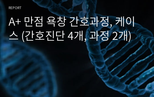 A+ 만점 욕창 간호과정, 케이스 (간호진단 4개, 과정 2개)