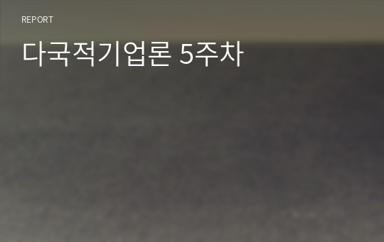 다국적기업론 5주차