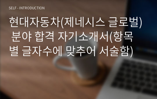 현대자동차(제네시스 글로벌) 분야 합격 자기소개서(항목별 글자수에 맞추어 서술함)