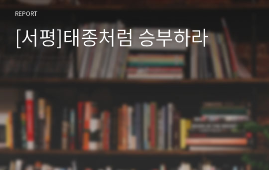 [서평]태종처럼 승부하라