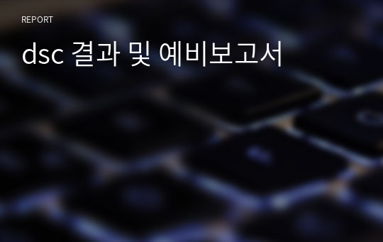 dsc 결과 및 예비보고서