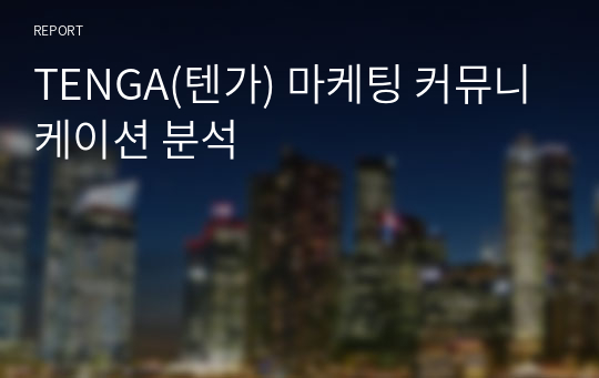 TENGA(텐가) 마케팅 커뮤니케이션 분석