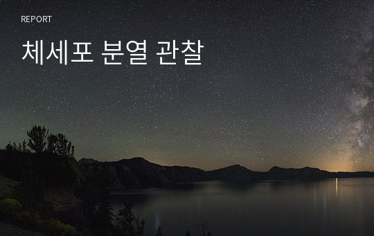 체세포 분열 관찰