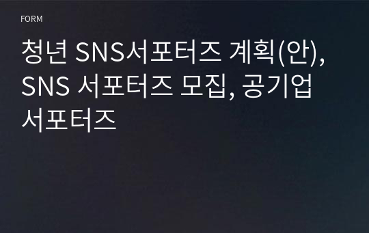 청년 SNS서포터즈 계획(안), SNS 서포터즈 모집, 공기업 서포터즈