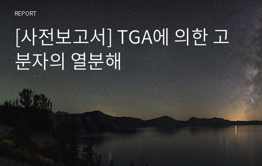 [사전보고서] TGA에 의한 고분자의 열분해