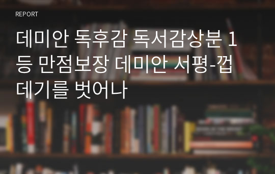 데미안 독후감 독서감상분 1등 만점보장 데미안 서평-껍데기를 벗어나