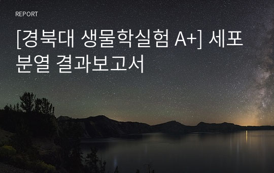 [경북대 생물학실험 A+] 세포분열 결과보고서