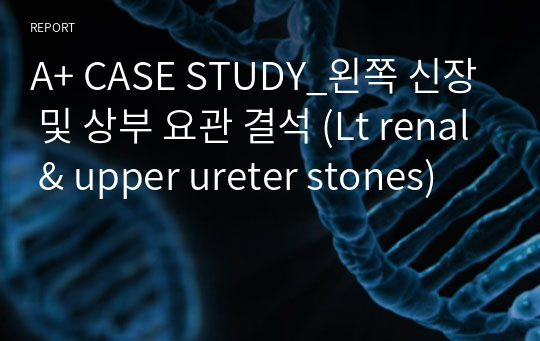 A+ CASE STUDY_왼쪽 신장 및 상부 요관 결석 (Lt renal &amp; upper ureter stones)