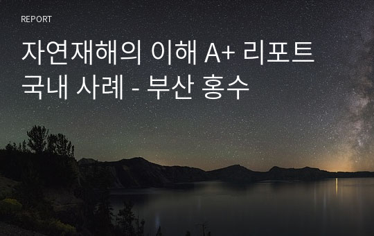 자연재해의 이해 A+ 리포트 국내 사례 - 부산 홍수