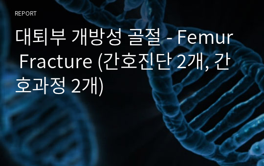 대퇴부 개방성 골절 - Femur Fracture (간호진단 2개, 간호과정 2개)