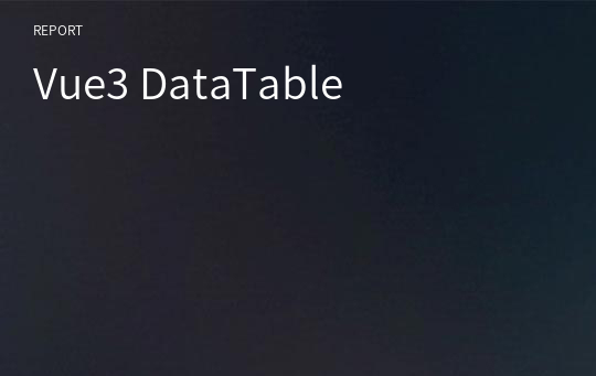 Vue3 DataTable