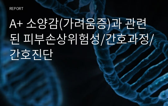 A+ 소양감(가려움증)과 관련된 피부손상위험성/간호과정/간호진단