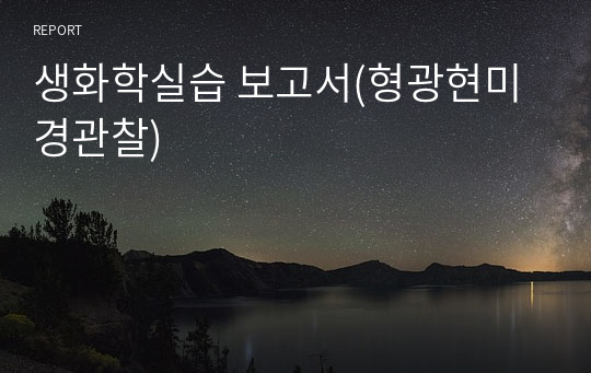 생화학실습 보고서(형광현미경관찰)