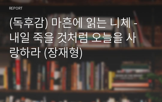 (독후감) 마흔에 읽는 니체 - 내일 죽을 것처럼 오늘을 사랑하라 (장재형)