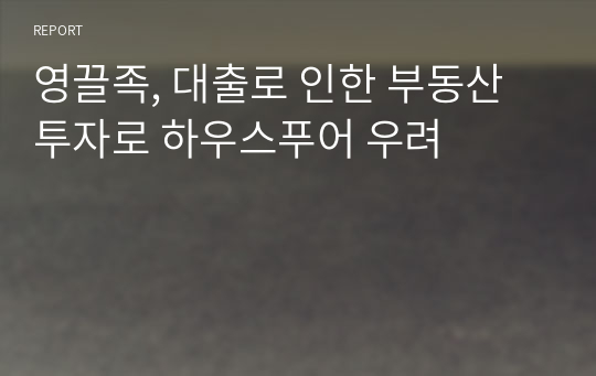 영끌족, 대출로 인한 부동산 투자로 하우스푸어 우려