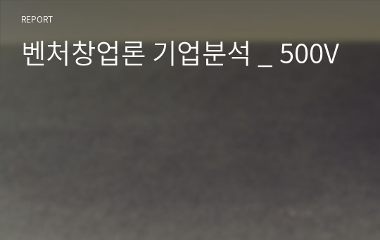 벤처창업론 기업분석 _ 500V