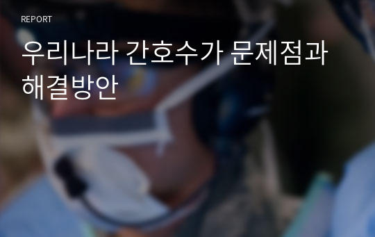 우리나라 간호수가 문제점과 해결방안