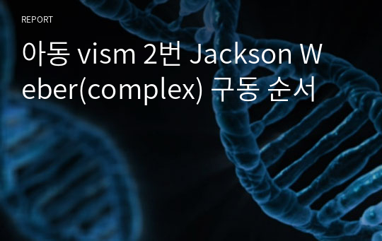 아동 vism 2번 Jackson Weber(complex) 구동 순서