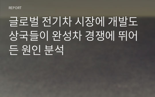 글로벌 전기차 시장에 개발도상국들이 완성차 경쟁에 뛰어든 원인 분석