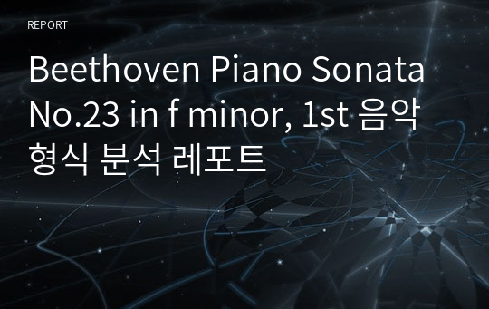 Beethoven Piano Sonata No.23 in f minor, 1st 음악형식 분석 레포트