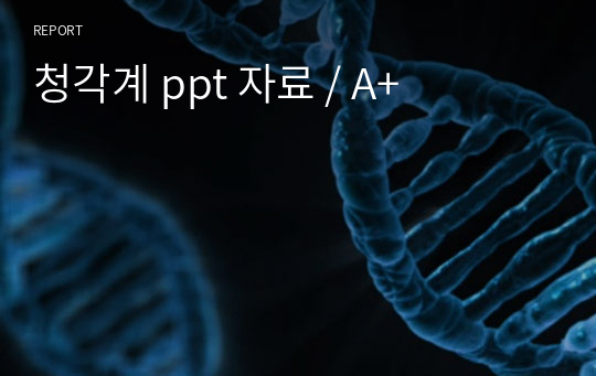 청각계 ppt 자료 / A+