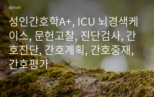 성인간호학A+, ICU 뇌경색케이스, 문헌고찰, 진단검사, 간호진단, 간호계획, 간호중재, 간호평가