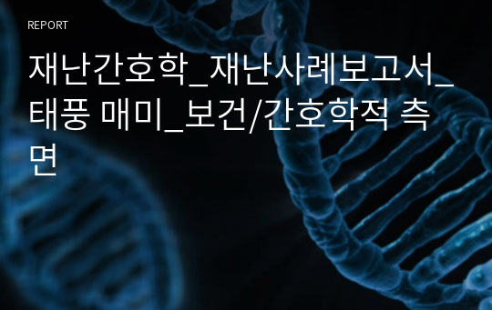 재난간호학_재난사례보고서_태풍 매미_보건/간호학적 측면