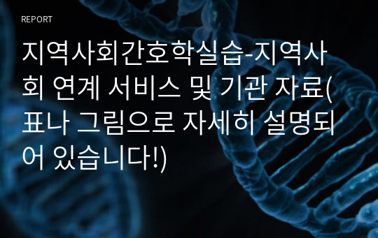 지역사회간호학실습-지역사회 연계 서비스 및 기관 자료(표나 그림으로 자세히 설명되어 있습니다!)