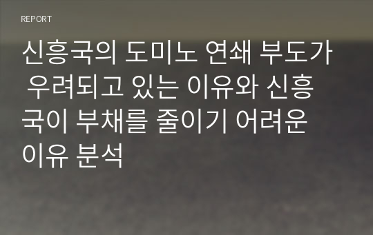 신흥국의 도미노 연쇄 부도가 우려되고 있는 이유와 신흥국이 부채를 줄이기 어려운 이유 분석