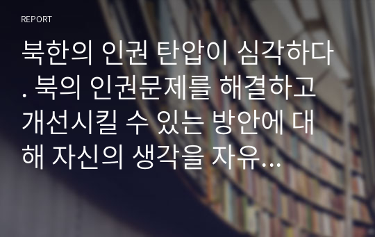 북한의 인권 탄압이 심각하다. 북의 인권문제를 해결하고 개선시킬 수 있는 방안에 대해 자신의 생각을 자유롭게 서술하시오