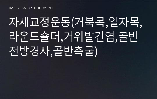 자세교정운동(거북목,일자목,라운드숄더,거위발건염,골반전방경사,골반측굴)