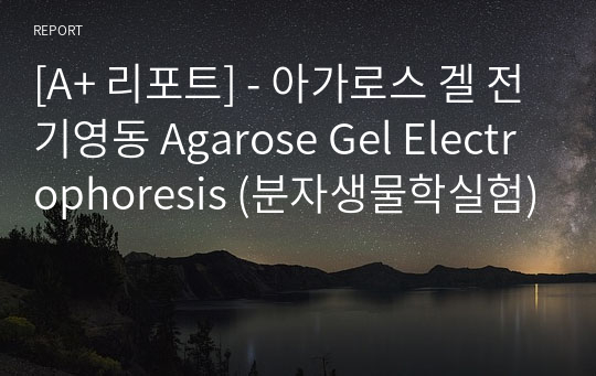 [A+ 리포트] - 아가로스 겔 전기영동 Agarose Gel Electrophoresis (분자생물학실험)
