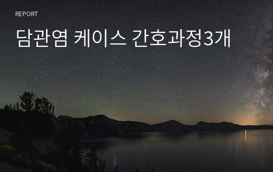 담관염 케이스 간호과정3개