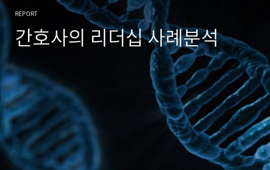 간호사의 리더십 사례분석