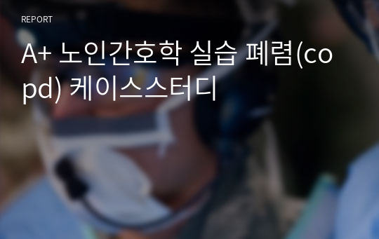 A+ 노인간호학 실습 폐렴(copd) 케이스스터디