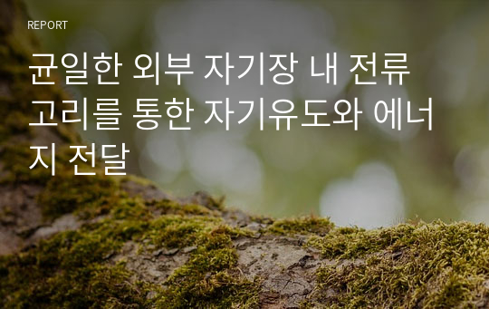 균일한 외부 자기장 내 전류고리를 통한 자기유도와 에너지 전달