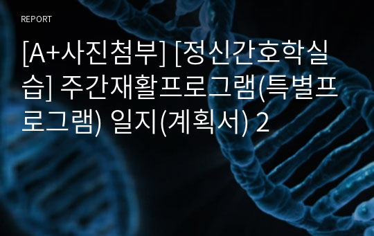 [A+사진첨부] [정신간호학실습] 주간재활프로그램(특별프로그램) 일지(계획서) 2